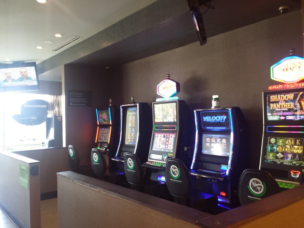 Wyndham Garden Elk Grove Village - O'Hare Экстерьер фото